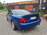 Ford SVT Mustang cobra terminator. unfallfrei.  - gebrauchte Ford Mustang aus dem Jahr 2003
