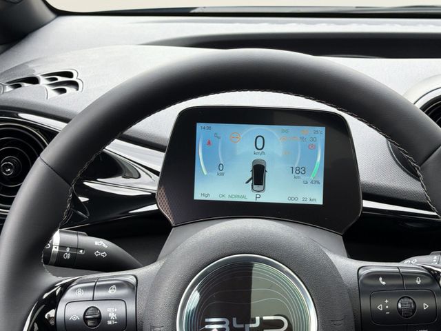 BYD Dolphin Design