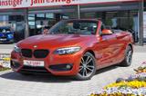 BMW 218i Sportline LED el. Verdeck Tempomat PDC DAB - mit Benzin-Antrieb: Orange, Cabrio
