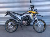 VOGE 300 Rally Modell 2025 - VOGE 300R