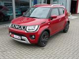 Suzuki Ignis Comfort+ - Suzuki Ignis Tageszulassungen