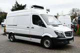 Mercedes-Benz Sprinter 316CDI Kühlkasten Tief-Kühler Standkühl - Mercedes-Benz: Weiß