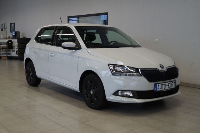 Skoda Fabia 1,0TSI*Ambition*PDC*SHZ*CarPlay*Klimaautom