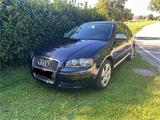 Audi A3 8P 1.9 TDI - Audi A3 mit Diesel-Antrieb: Kleinwagen, 1.9