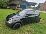 Ford Ka *TÜV NEU* - Ford aus 2005: Ka