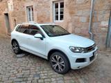 Volkswagen Touareg 3.0 V6 TDI Edition X*Voll*Standheizung* - Volkswagen Touareg: Weiß