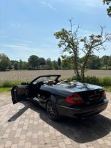 Mercedes-Benz Mercedes Benz CLK 350 Cabrio | W209 / A209 - Mercedes-Benz: Cabrio, Clk W209