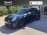 MINI One 3-Türer City Tempomat Parkassistent Shz PDC - MINI MINI: Tuerer