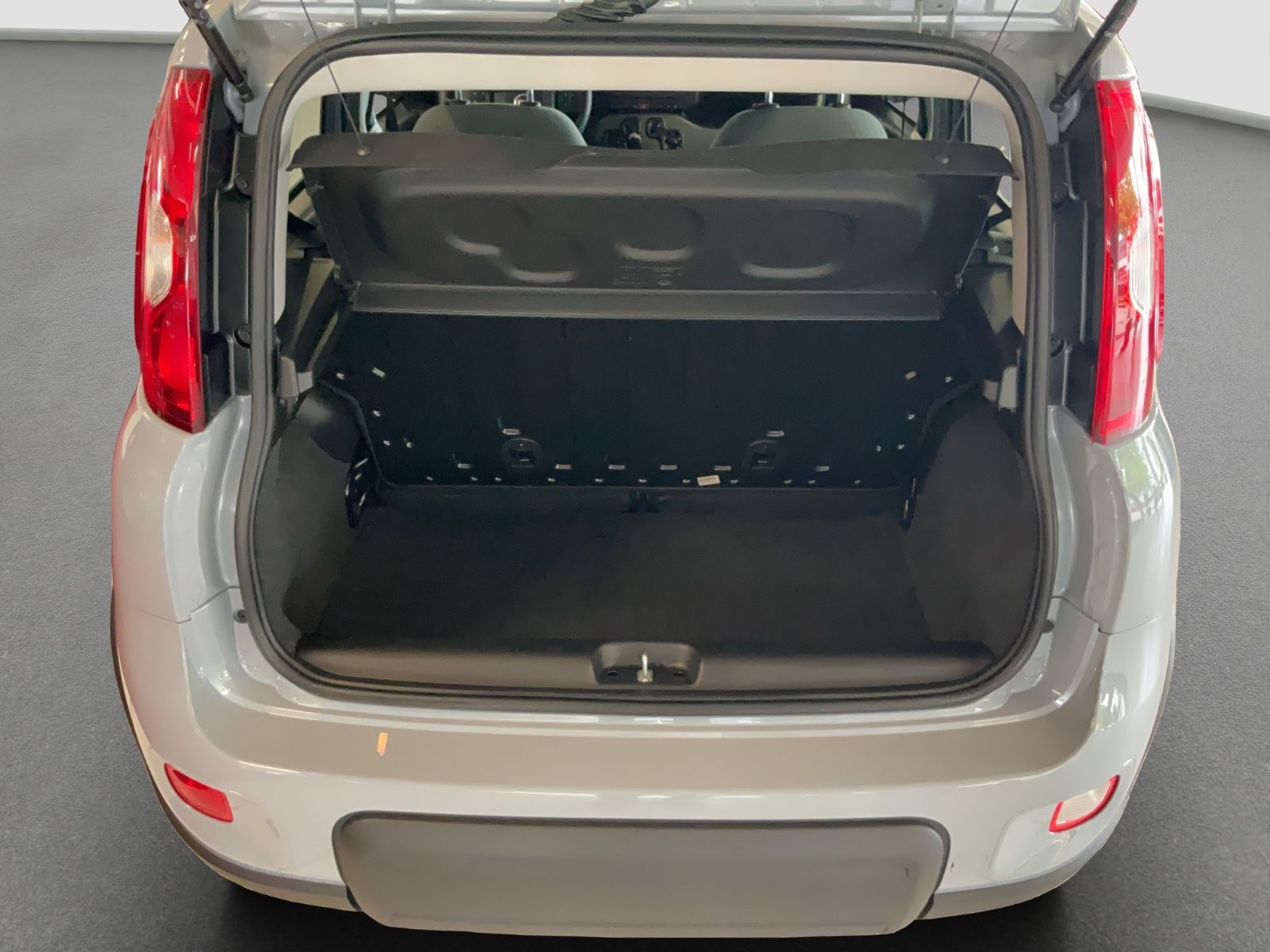 Fahrzeugabbildung Fiat Panda 1,0 Hybrid  Allwetterreifen/Klima/DAB