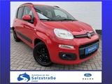 Fiat Panda Easy*1.Hand*PDC*Klimaaut.*WiPa*bluetooth* - Fiat Panda in Lübeck