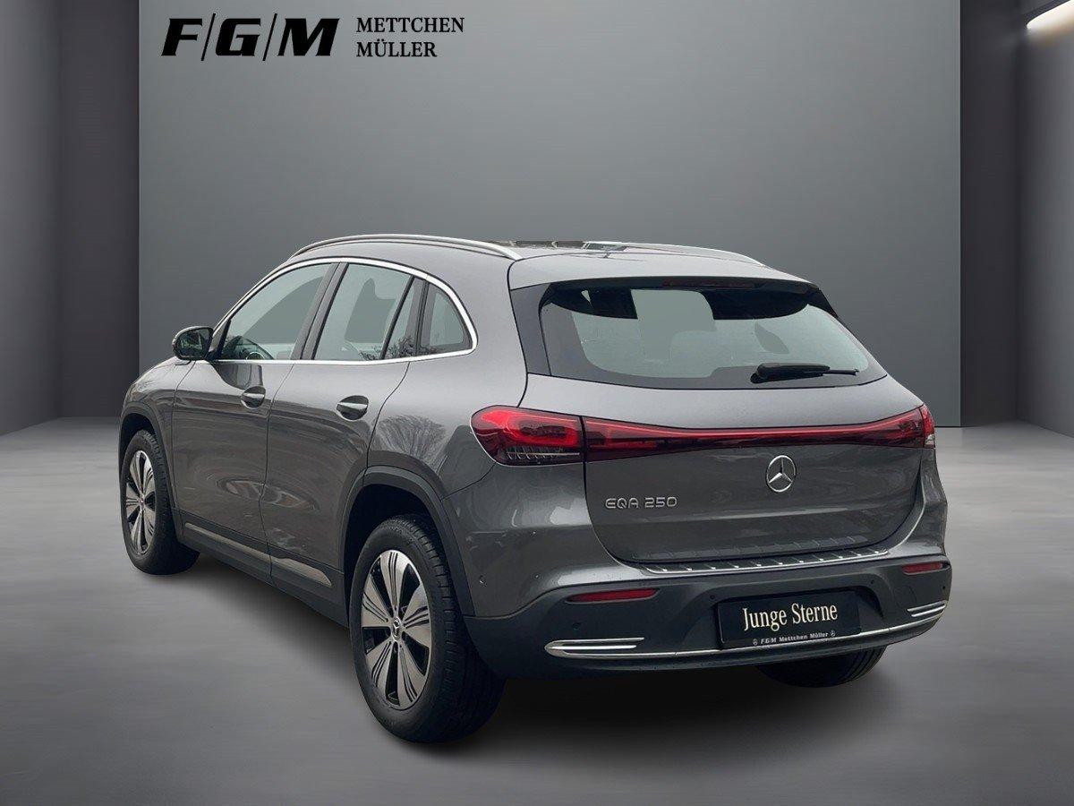 Mercedes-Benz EQA 250 Progressive TWA|CarPlay|Sitzhz|EASY-PACK