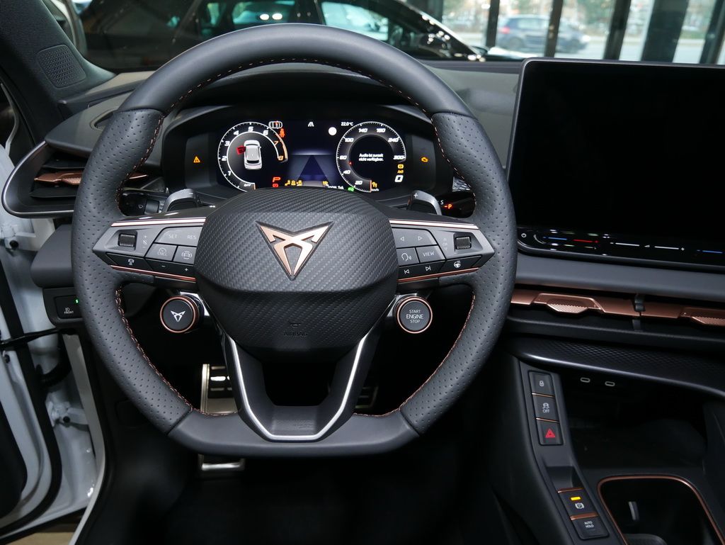 Cupra Terramar - Bild 9