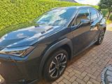 Lexus UX 250h Style Edition Style Edition - Lexus UX Gebrauchtwagen