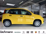 Fiat Pandina ICON 1.0 Klima PDC DAB USB teilb.Rücksb  - scheckheftgepflegte Fiat New Panda