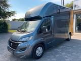 Fiat Ducato Böckmann Pferdetransporter Automatik Navi - Bauwagen