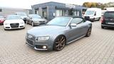 Audi S5 Cabriolet 3.0 TFSI quattro - Audi S5 mit Benzin-Antrieb: Leder