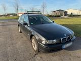 BMW e39 Touring 525i - BMW 525: Kombi, 525i E39