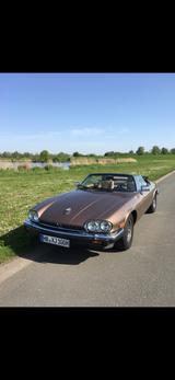 Jaguar XJS Convertible V 12 Oldtimer - Jaguar XJS: 12 V