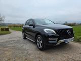 Mercedes-Benz ML 350 4Matic|Navi | Kamera | Parkassis.|  - Mercedes-Benz ML 350 Gebrauchtwagen in Stuttgart
