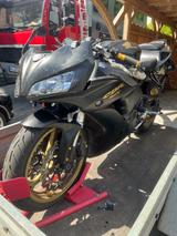 Honda CBR 1000 rr Fireblade sc 57  - Angebote