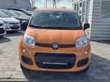 Fiat Panda Easy 1 Hand - Fiat Panda Gebrauchtwagen in Mannheim