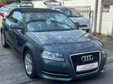 Audi A3 Cabriolet 1.6 LEDER+KLIMA+NAVI+PDC+SCHECKHEFT - Audi A3: Cabrio, 1.6