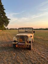 Jeep Willys Jeep M38A1, Sahara, HU+H neu, Army - Jeep: M38a1