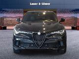 Alfa Romeo Stelvio Quadrifoglio Benzin 382 kW (519 PS) AT 8 - Alfa Romeo Stelvio Benzin Gebrauchtwagen