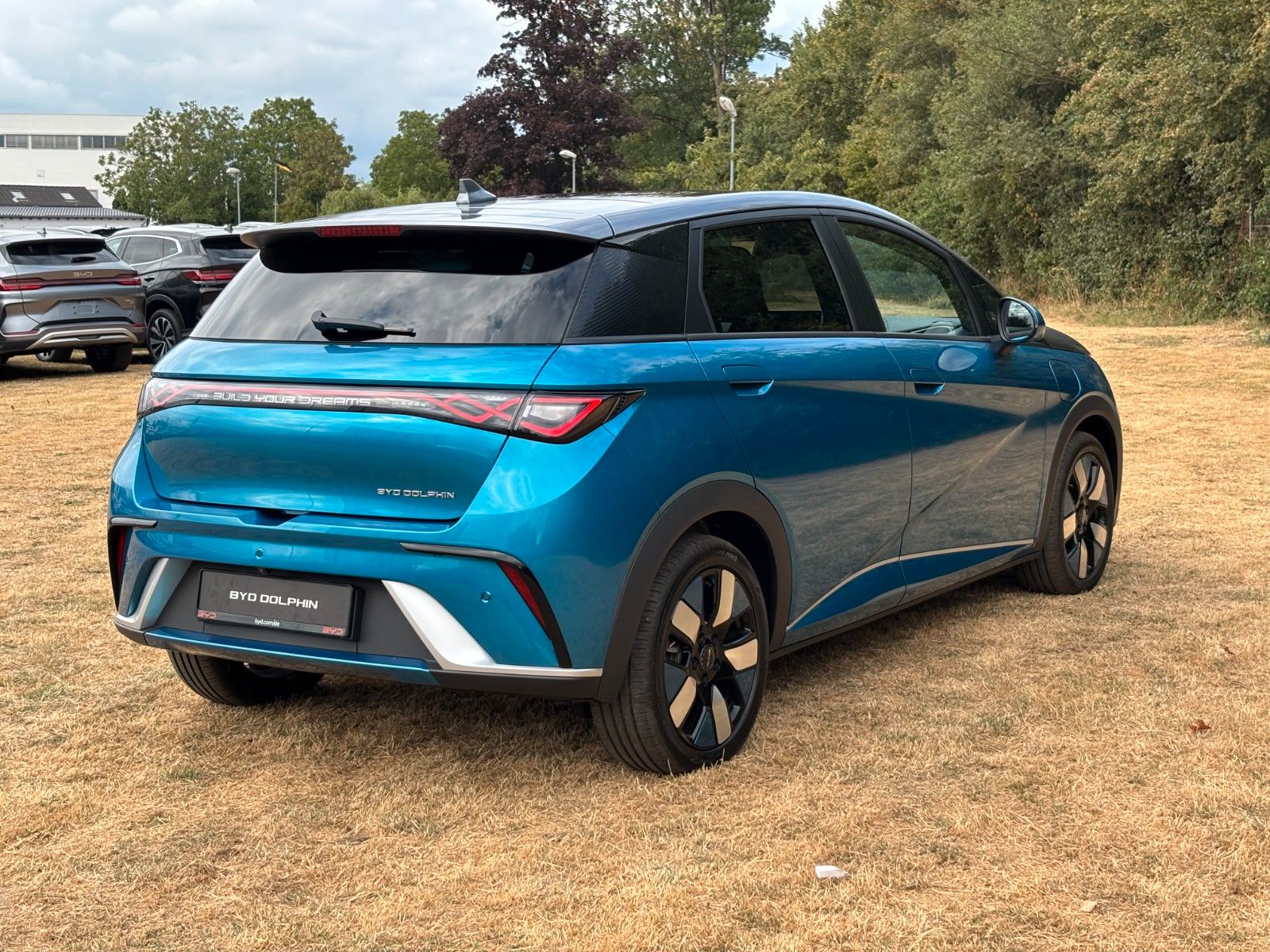 BYD DOLPHIN