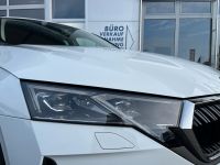 Skoda Octavia Combi 2.0 TDI DSG Selection AHK 5J GAR bei Autohaus Landmann & Maier OHG