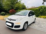 Fiat Panda 1,2  - Fiat Panda in Bonn