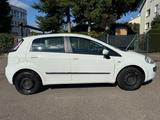 Fiat Punto Evo Dynamic - weiße Fiat Punto Evo