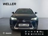 Lexus UX 250h Style Edition *Bi-LED*ACC*CAM*SHZ*CarPla - Lexus UX aus 2022