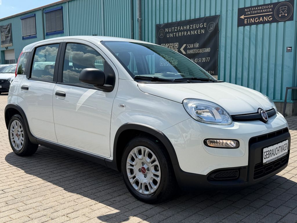 Image of Fiat Panda