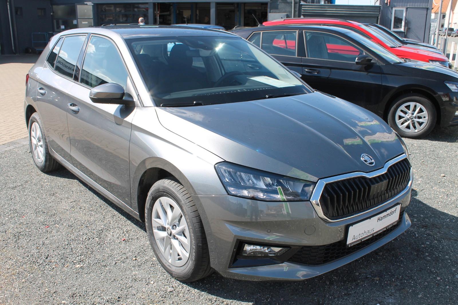 Skoda Fabia 1.0 TSI DSG Selection AHK/PDC/SHZ