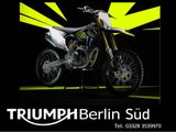 Triumph TF-250 X JETZT BESTELLBAR - Offers matching your search criteria