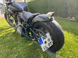Harley-Davidson FXST Softail - Angebote