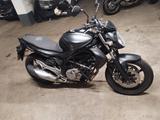 Suzuki Gladius - SUZUKI GLADIUS
