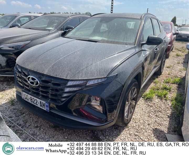 Hyundai Tucson 1.6 CRDI 48V Aut. Navi Camera Klima PDC