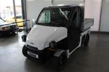 Andere Ligier Professional Pulse 4 lang Version 9,6kw/h - Angebote entsprechen deinen Suchkriterien