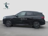 BMW X1 xDrive20d Steptronic - BMW X1 mit Diesel-Antrieb