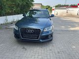 Audi Q5 2.0 TDI Aut.Leder.Klima.Navi,Kmera.Alus,Eur6b - Audi Q5: Km 0