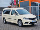 Volkswagen Caddy 2,0 TDI Maxi Trendline BMT - Volkswagen Caddy Maxi: Trendline