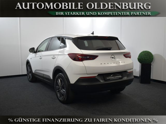 Opel Grandland 1.5 D Business Edit. *AHK*KAMERA*LED*