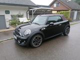 MINI Cooper S Cabrio Highgate - MINI Cooper S Cabrio: Highgate