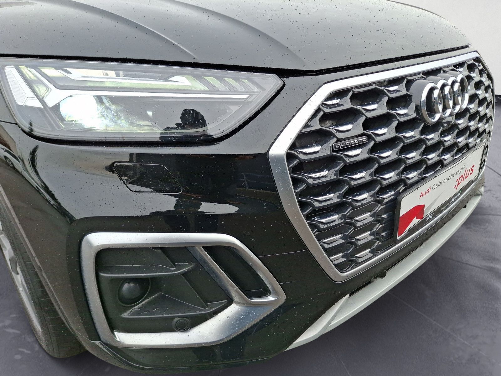 Audi Q5 - Bild 13