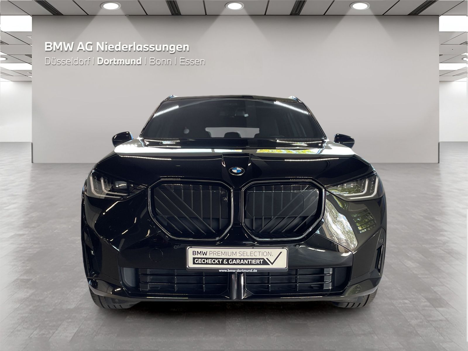 BMW X3 - Bild 9