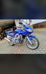 Suzuki SV650S | Superbike-Umbau | 14.100 km TÜV NEU - Offers