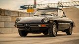 Alfa Romeo Spider Veloce  - Alfa Romeo aus 1979
