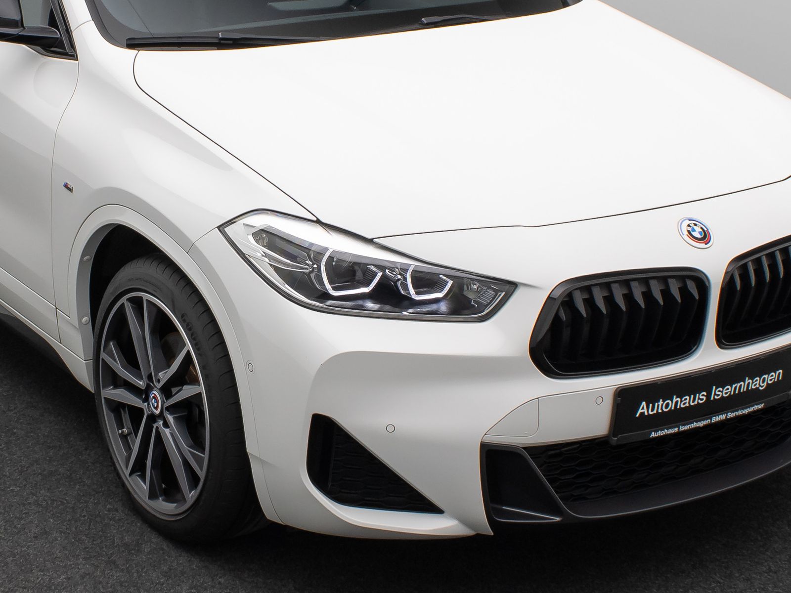 Fahrzeugabbildung BMW X2 sD18d M Sport GeschwindigReg Kamera DAB 19"